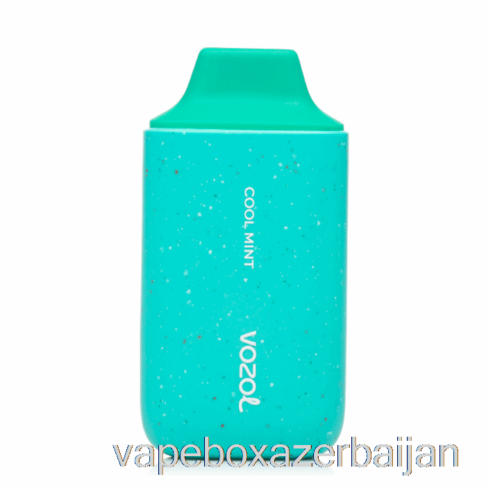Vape Azerbaijan VOZOL Star 6000 Disposable Cool Mint